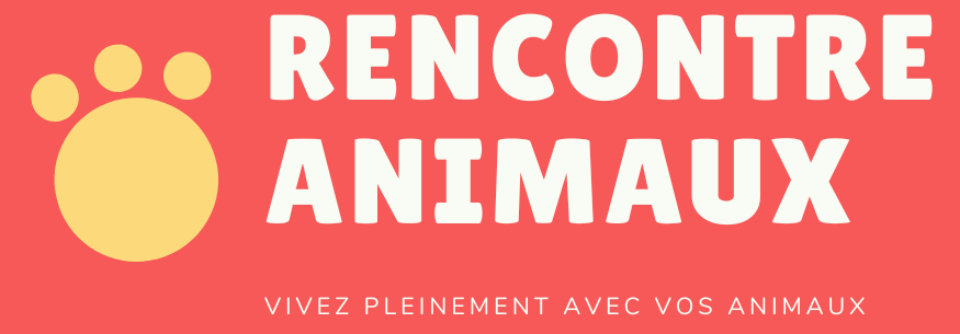 Rencontre Animaux